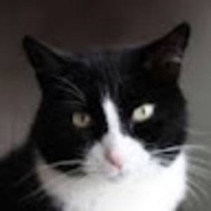 Meet your Posher, Milena